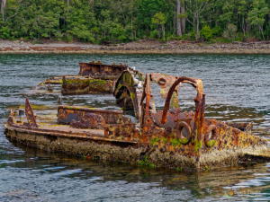 Wreck of the William Pitt
