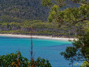 Fortescue Bay beach